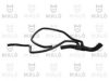 FIAT 46818186 Radiator Hose